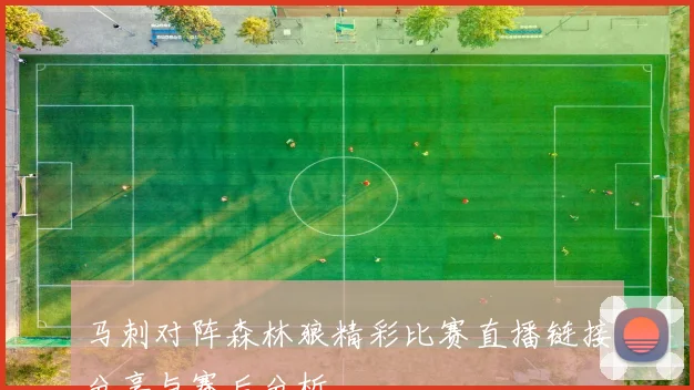 马刺对阵森林狼精彩比赛直播链接分享与赛后分析