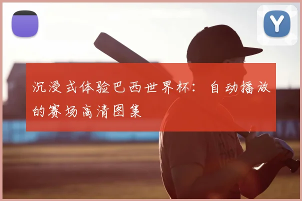 沉浸式体验巴西世界杯：自动播放的赛场高清图集
