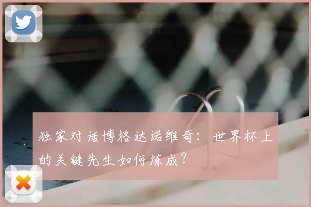 独家对话博格达诺维奇：世界杯上的关键先生如何炼成？