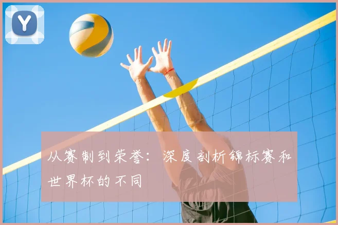 从赛制到荣誉:深度剖析锦标赛和世界杯的不同