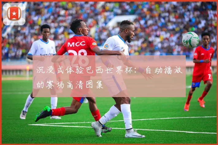 沉浸式体验巴西世界杯:自动播放的赛场高清图集