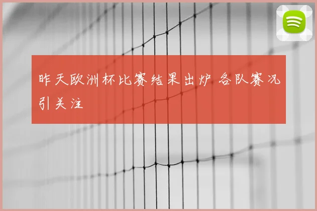 昨天欧洲杯比赛结果出炉 各队赛况引关注