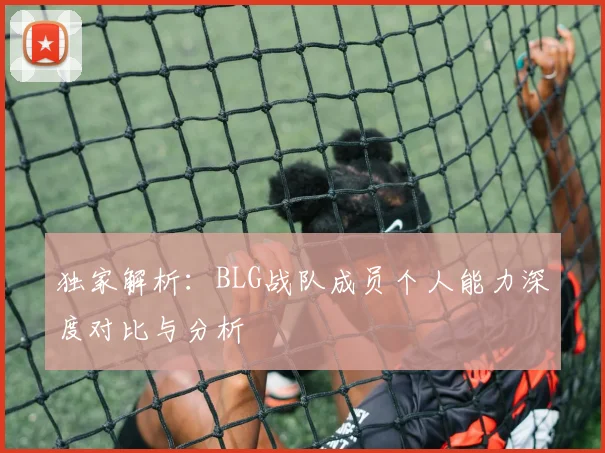 独家解析:BLG战队成员个人能力深度对比与分析