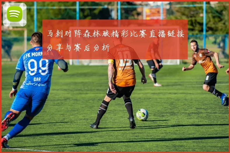 马刺对阵森林狼精彩比赛直播链接分享与赛后分析